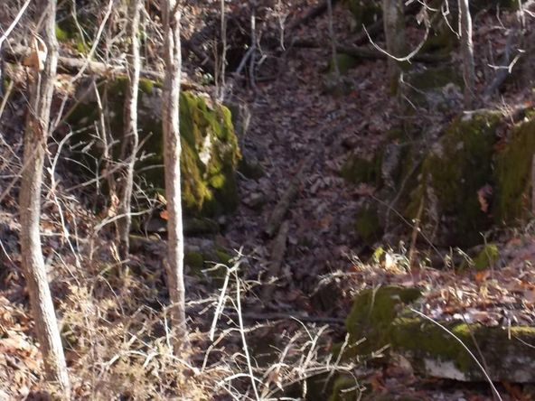 414 Doane Rd, New Market, TN 37820